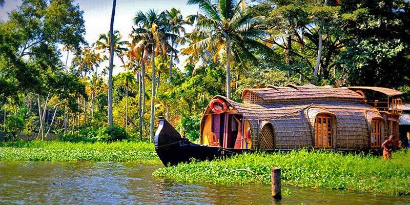 Top things to do in Kerala - kerala back waters cruise