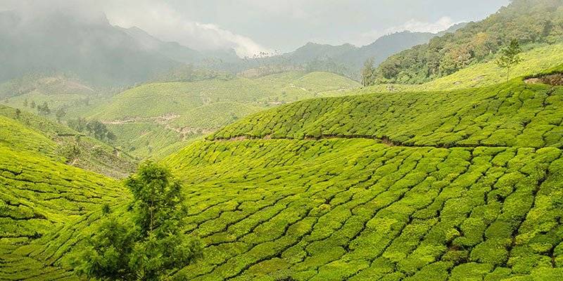 Top things to do in Kerala - Hill Stations