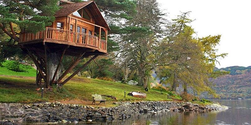 Top things to do in Kerala - Tree House