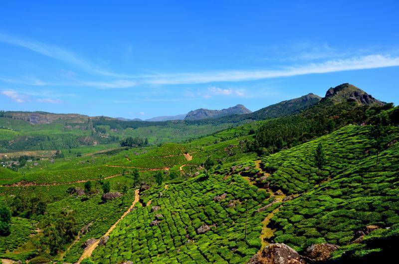 Hill Stations in South India