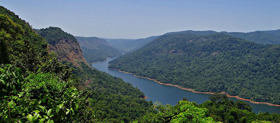 Image result for nallamala hills