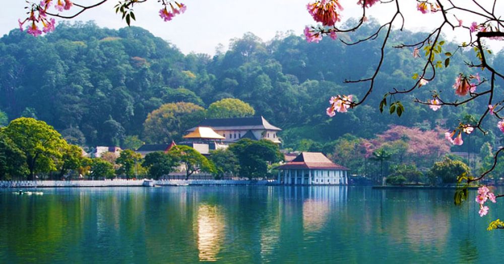 Things To Do in Kandy - Kandy Lake and Market