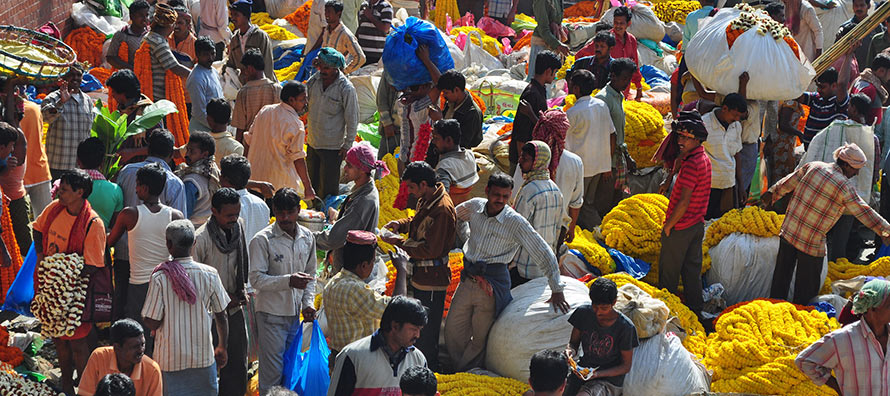 Mullick Ghat Flower Market - Things-to-do in Kolkata