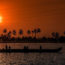Things To Do & See in Kerala