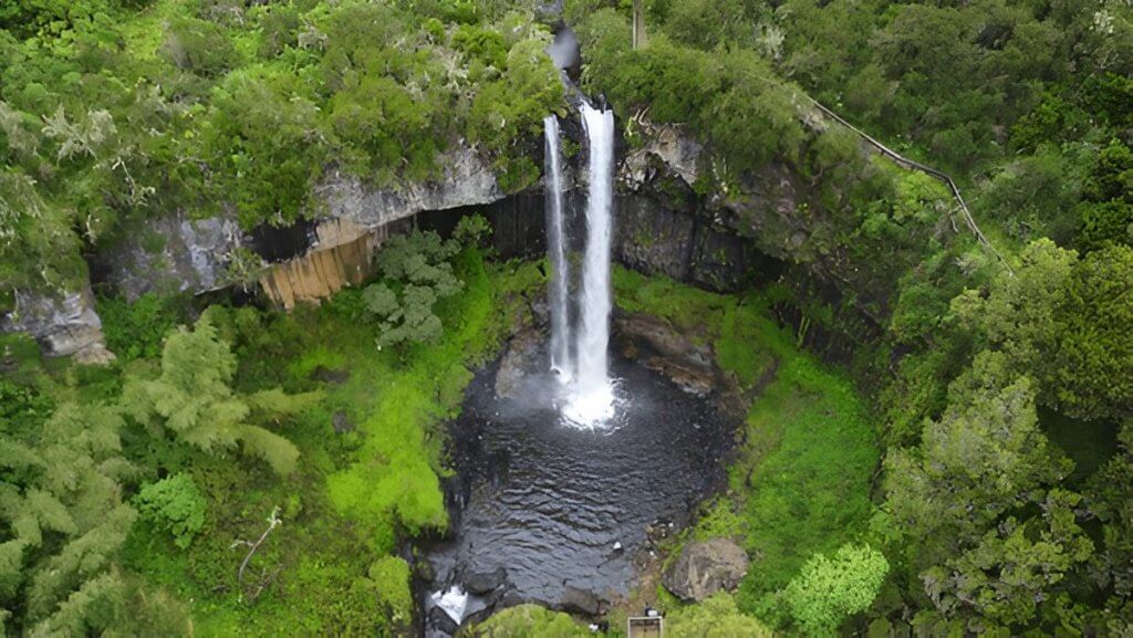 Aberdare National Park