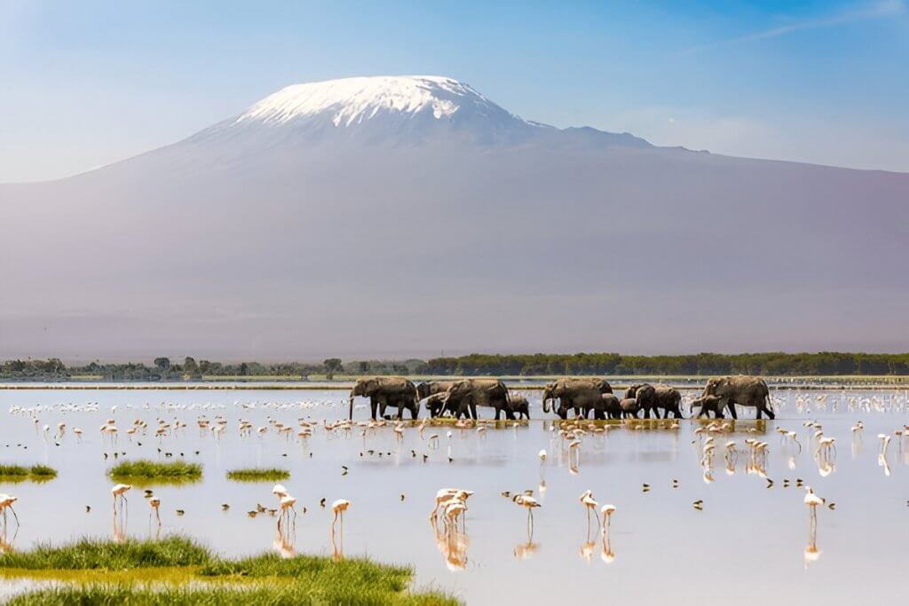 Kenya's top national park guide