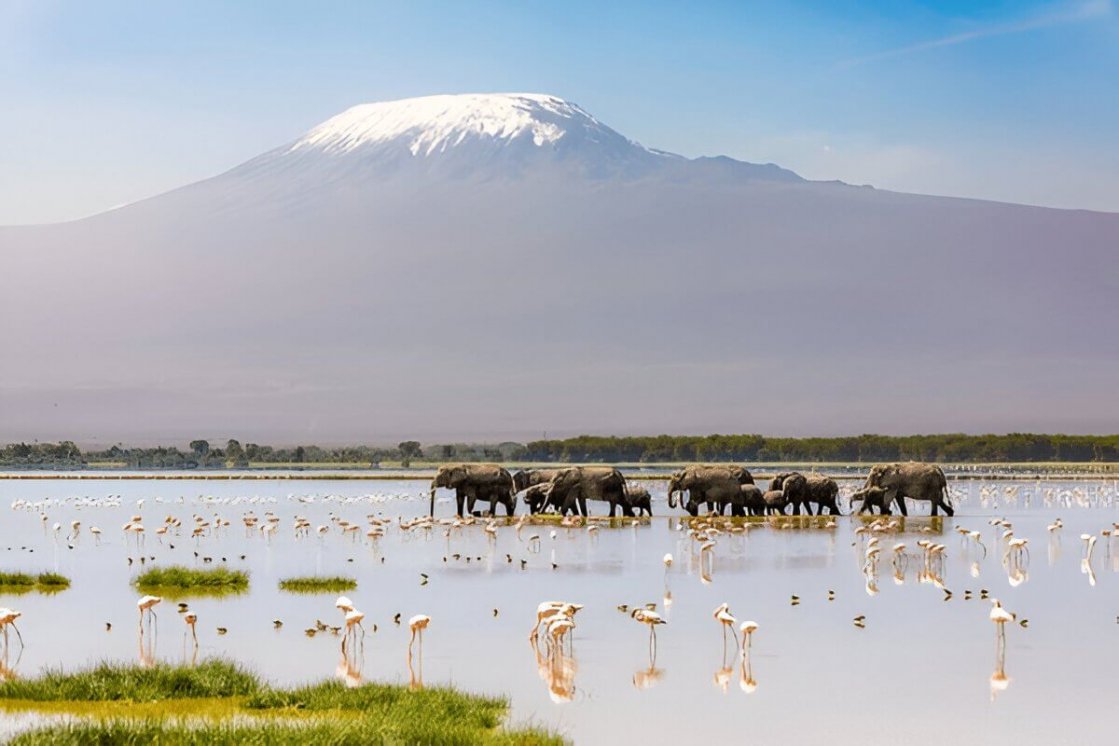 Kenya's top national park guide