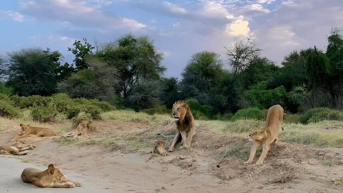 Samburu National Reserve