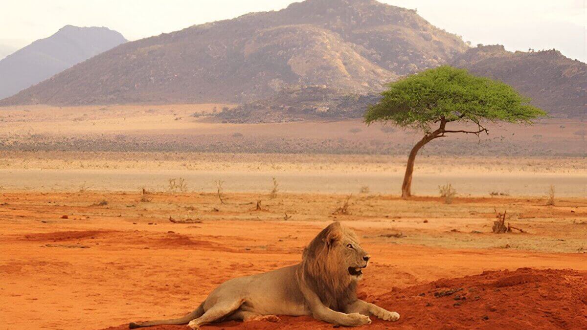 Tsavo East National Park - easily one of Kenya's Top National Parks