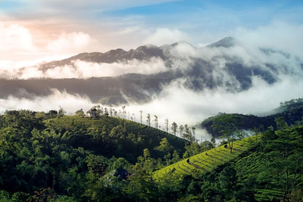 Western Ghats Hill Stations