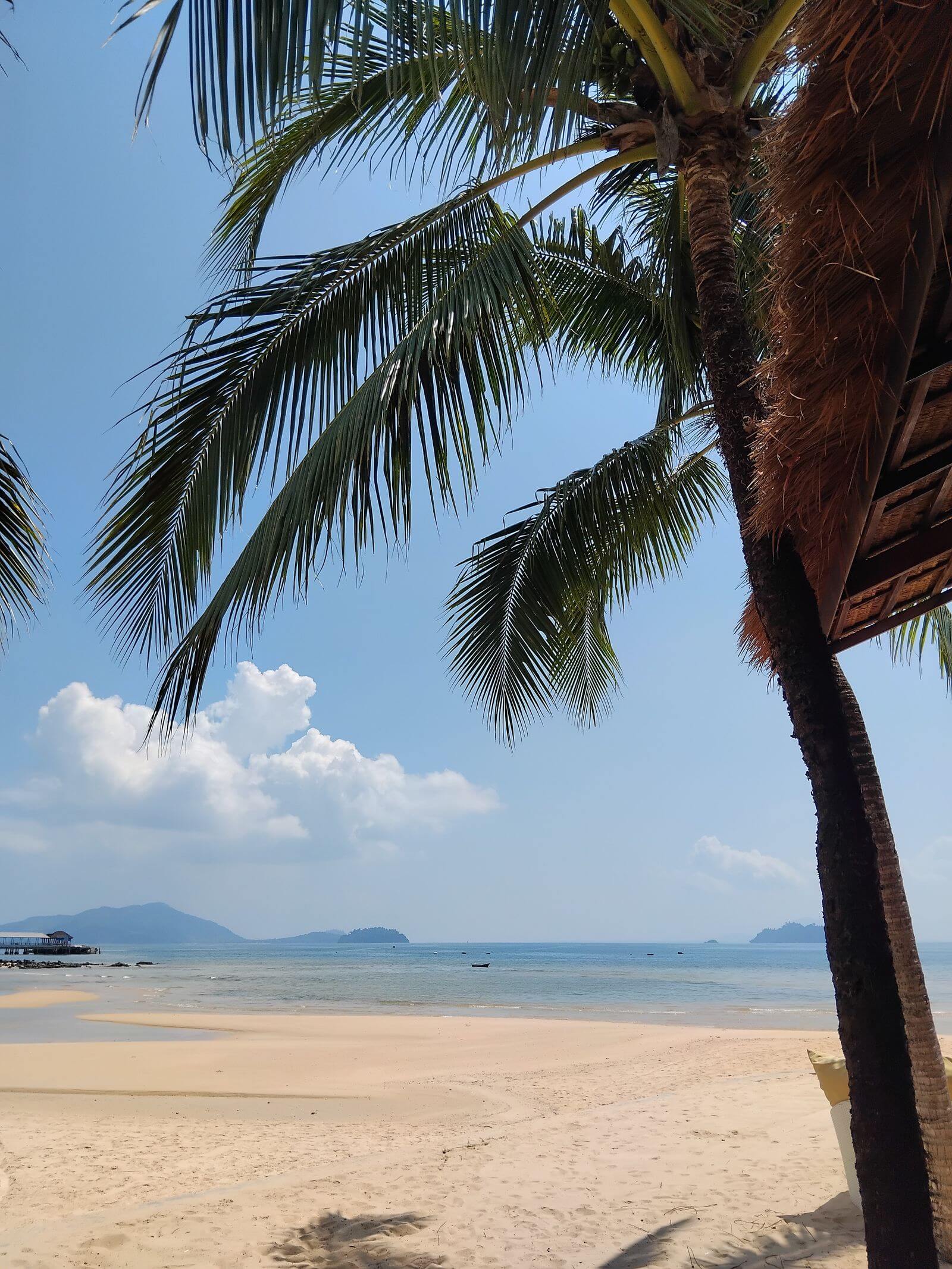 Palm-fringed white-sand beach on the Indian Ocean