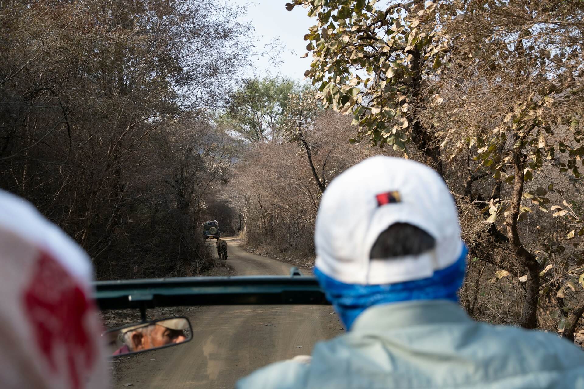 Visitors observing wildlife from a safari vehicle at Ranthambore