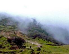 Sandakphu and Phalut Trek