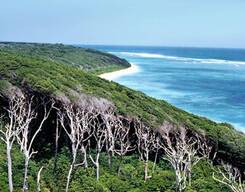 Hutbay Island, Little Andaman 5 Day Tour from Port Blair
