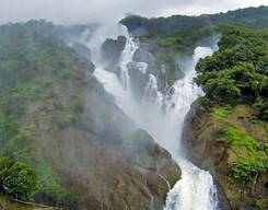 Dudhsagar Waterfalls Trek