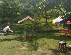 Trekking & Camping at Narkanda