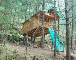 Treehouse Adventure in Pabbar Valley