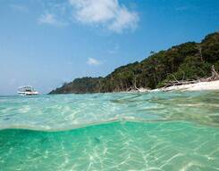 Scuba Diving near Chidyatapu Island, Port Blair