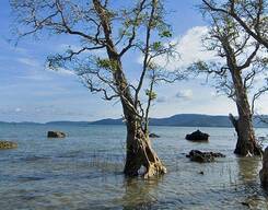 Chidyatapu & Munda Pahad Half Day Trip from Port Blair