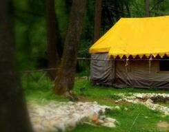 Tosh Trek with Camping in Kasol