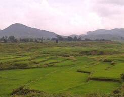 Araku Valley Day Tour from Visakhapatnam