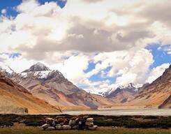 Double Crossing 2025:Hampta Pass and Parang La Trek with Chandrataal (Manali to Spiti to Ladakh Trek)