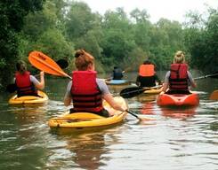 Goa Kayaking Spike's River near Candolim in Goa
