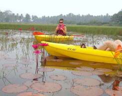 Goa Kayaking Sal Backwaters