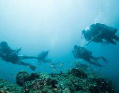 Scuba Diver 2 Day Course at Havelock