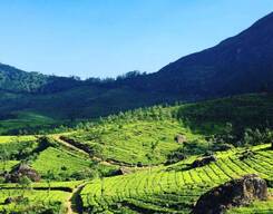 Top Station Tour from Munnar