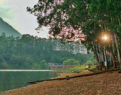 Munnar City Half Day Sightseeing Private Tour for 2 days