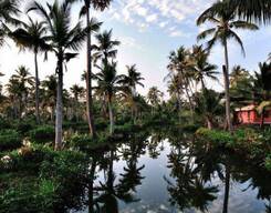 Vypin Island Bike Tour from Kochi (Cochin)