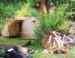 Manali Jungle camping and Old Manali Tour