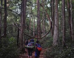 Kumaraparvatha Trek from Bangalore