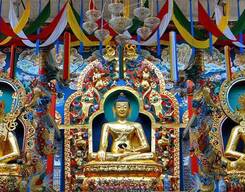 3-Day Coorg Sightseeing Tour from Mysore City