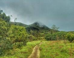 Tadiandamol Coorg Trek