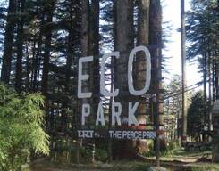 Dhanaulti Sightseeing Private Tour From Dehradun