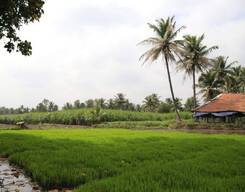 Experience Organic Farming In Coorg