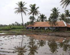 Coorg Eco Farm Tour With Chocolate Tasting & Dinner