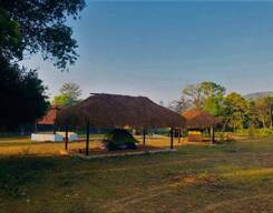 Plantation Camping Experience With Jungle Trek In Coorg