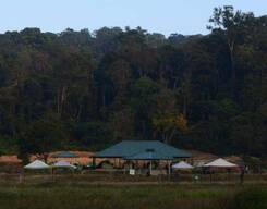 Trek To Brahmagiri & Camp Overnight In The Woods