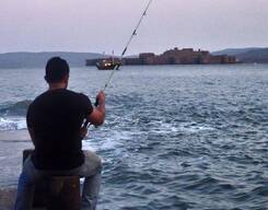 Go Fish @ Murud Janjira