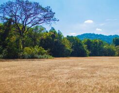 Unexplored Side Of Brahmagiri In Coorg