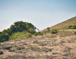 Kotebetta or the fort hill trek in Coorg