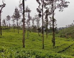 Coorg 4 Days Sightseeing Tour from Mysore City