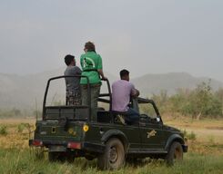Jeep safari in Rajaji National Park