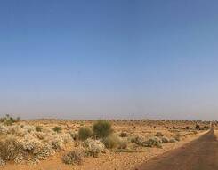 Macro & Landscape Photography Tour at THAR DESERT
