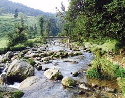 Kareri Lake 4 Day Trek from Mcleodganj