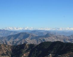 Day Hike to Shali Tibba from Shimla
