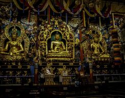 Kushalnagar full day sightseeing tour